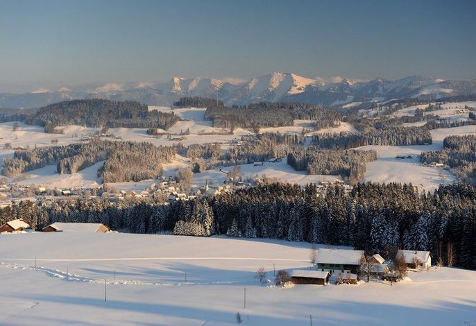 Bild 15