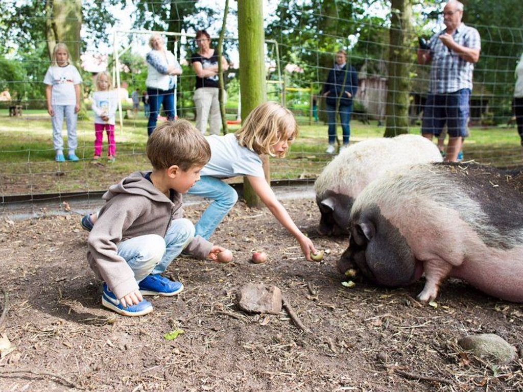 kinder-beim-schweine-fttern
