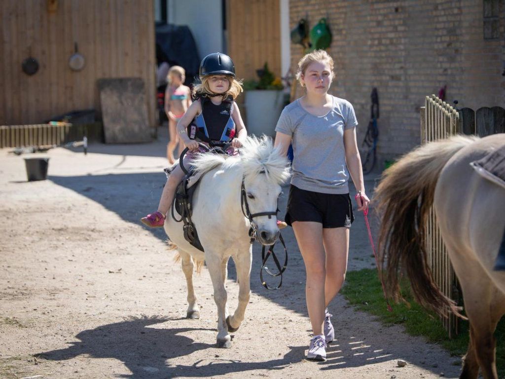 Tägliches Reiten