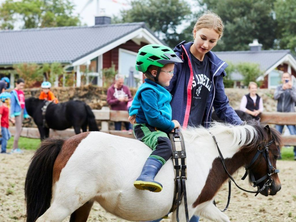 Reitrunden mit Pony Pippilotta