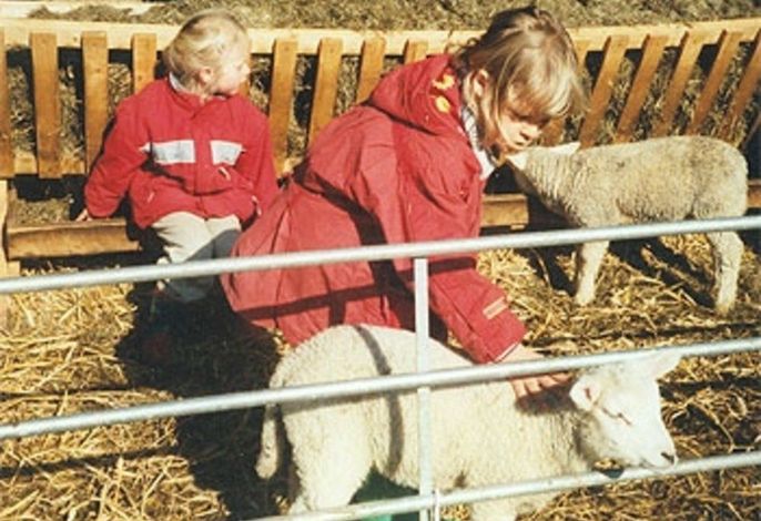 Bild 3