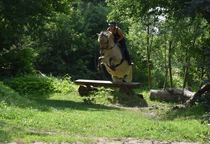 Bild 19
