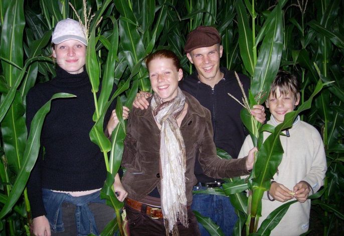 Bild 8