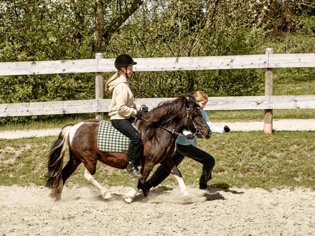 gut_oestergaard_reiten_0082