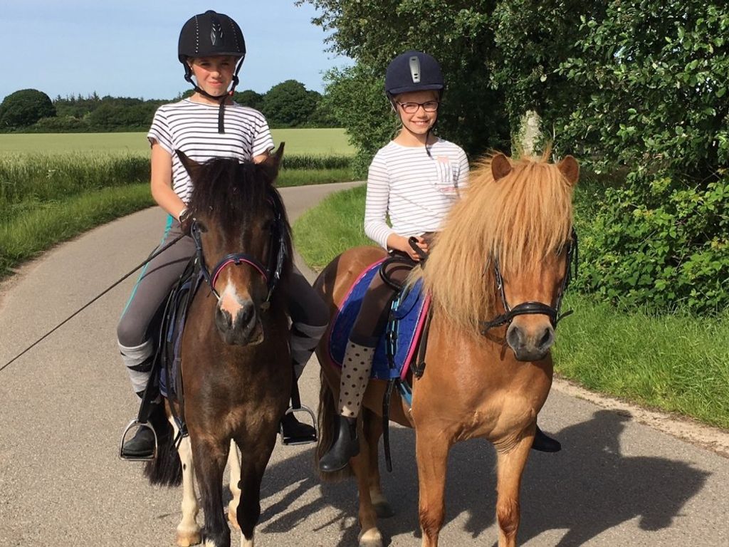 Ausritt mit Ponys