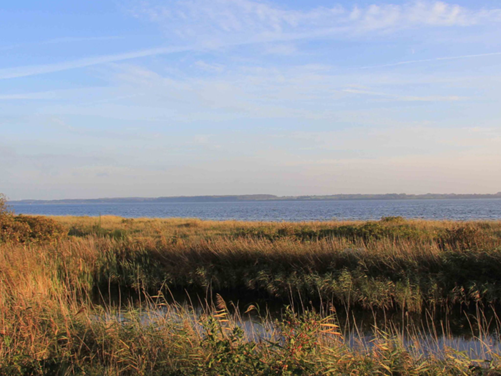 Reetdachkate Strand