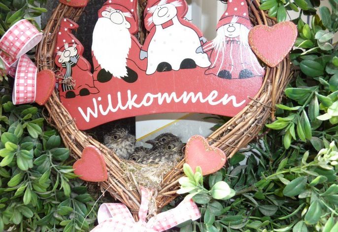 Bild 21