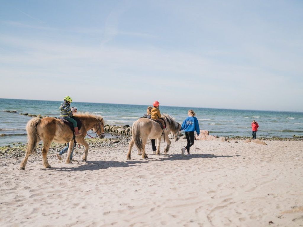 Ausritt am Strand