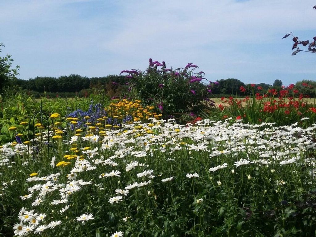 unser garten