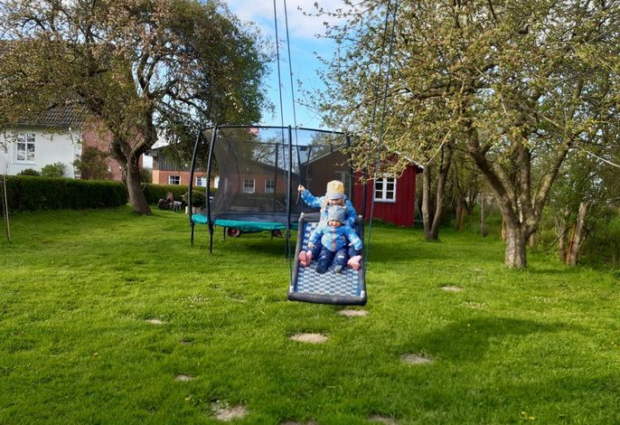 Bild 7