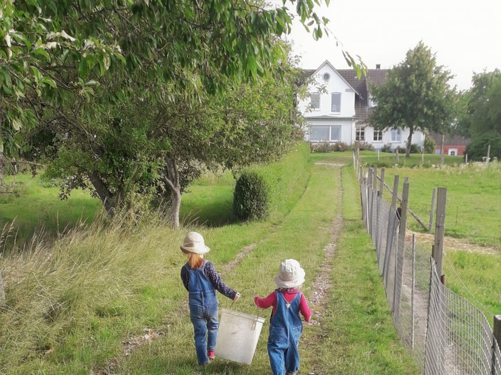 Frühsommer