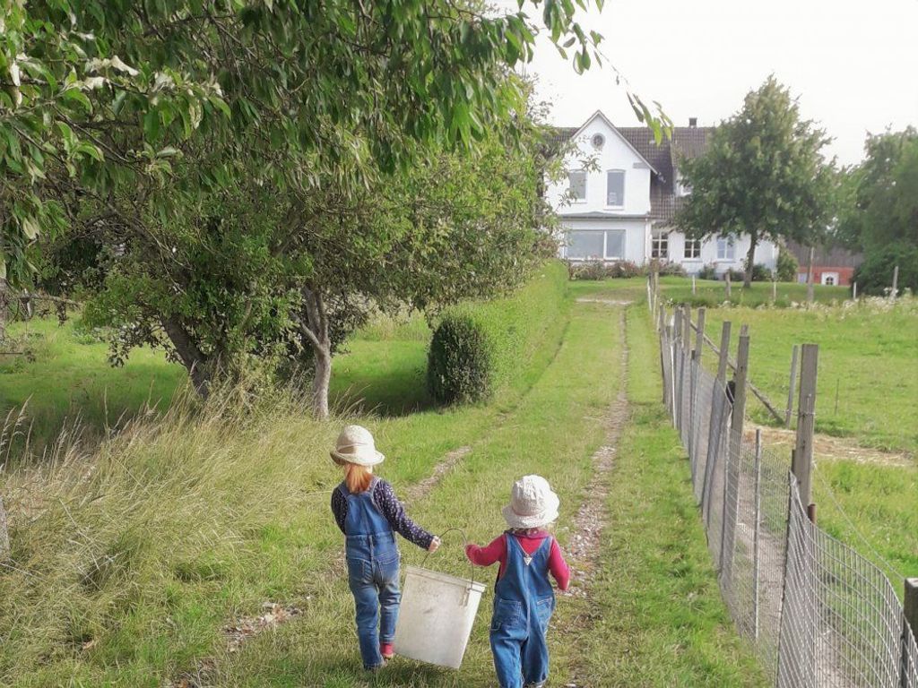 Frühsommer