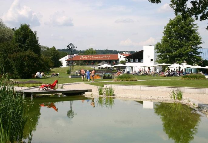 Bild 12