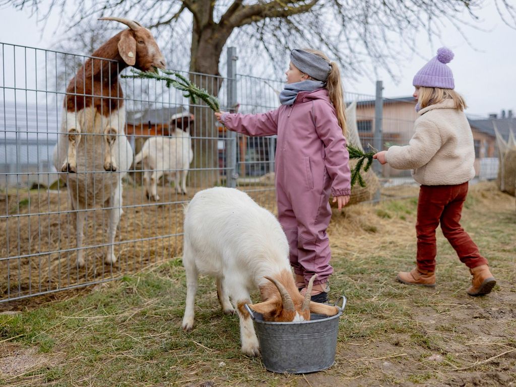 Hof_Hardthoehe_Kinder_Ziegen3