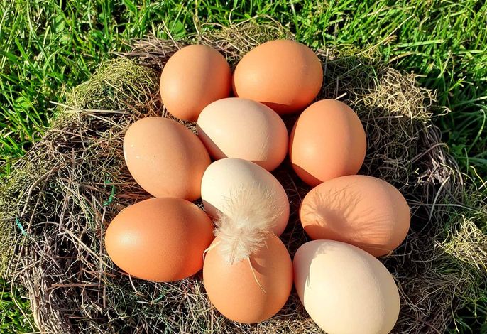 Bild 20