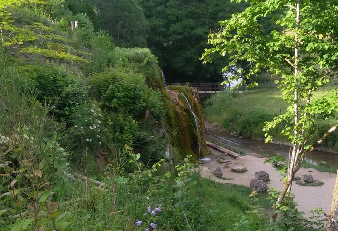 Bild 22