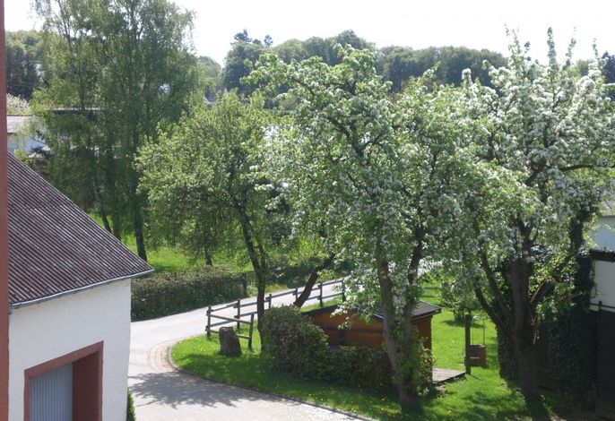 Bild 15