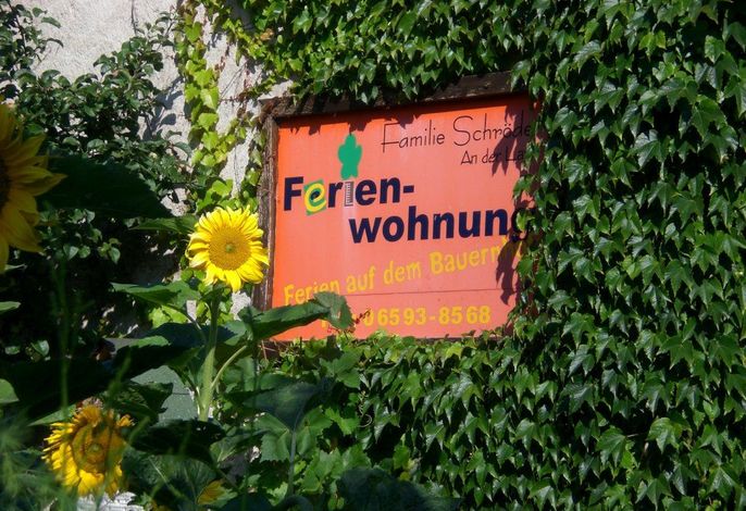 Bild 13