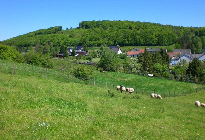 Bild 14