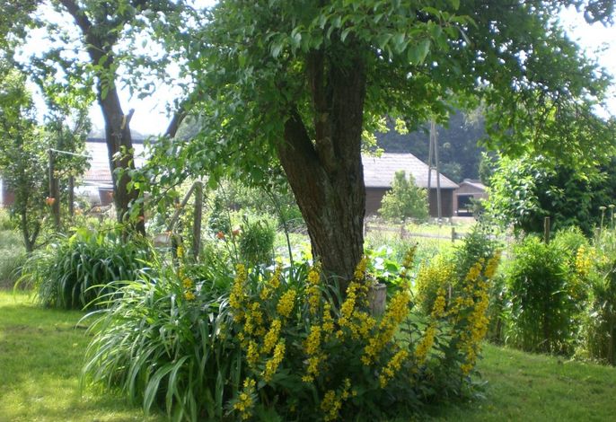 Bild 18