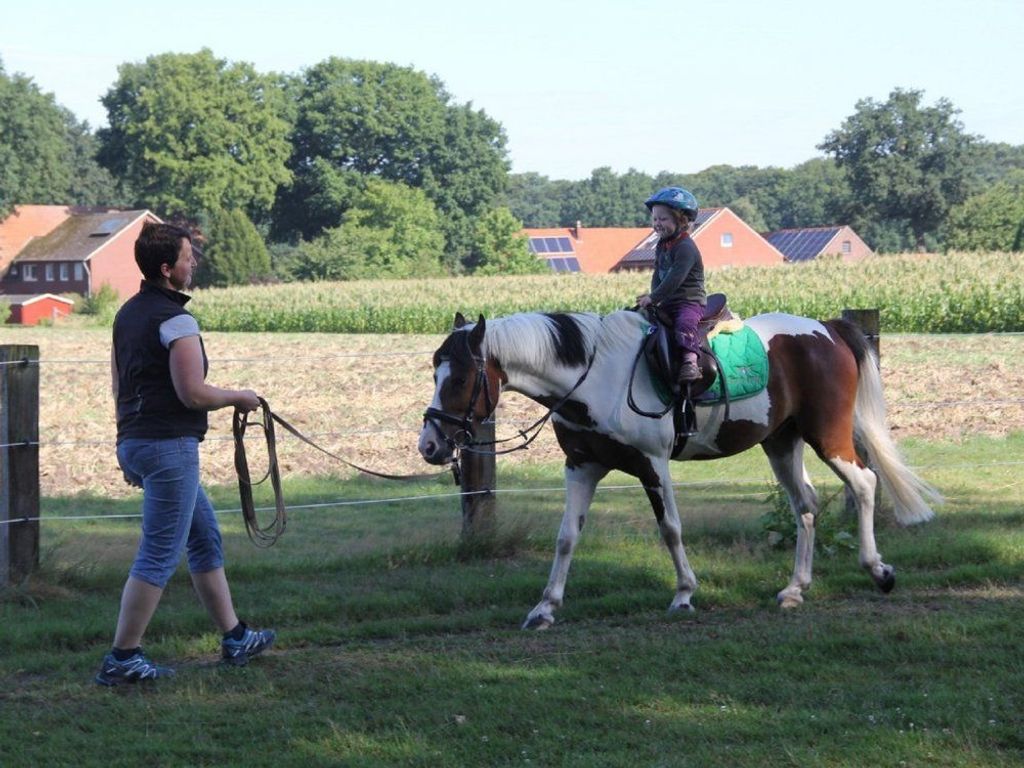 Geführtes Reiten
