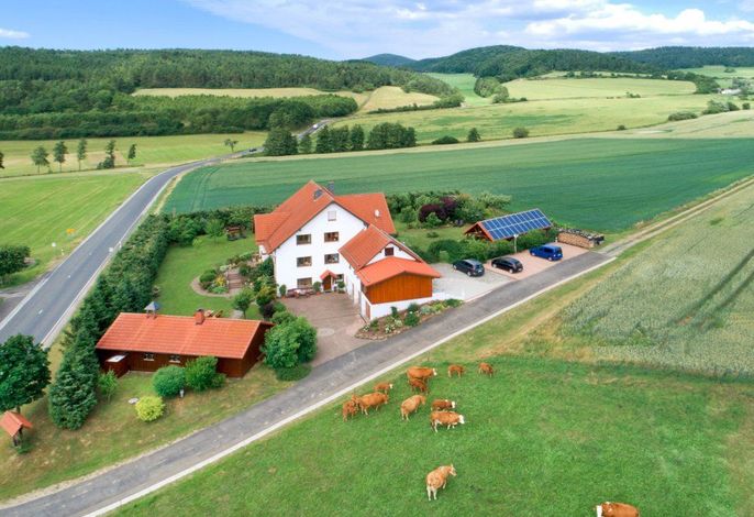 Bild 19
