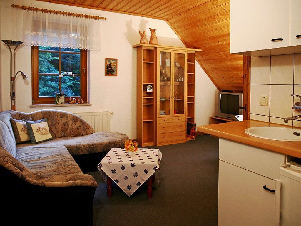 Wohnzimmer mit Küchenzeile in der Ferienwohnung Hasensasse