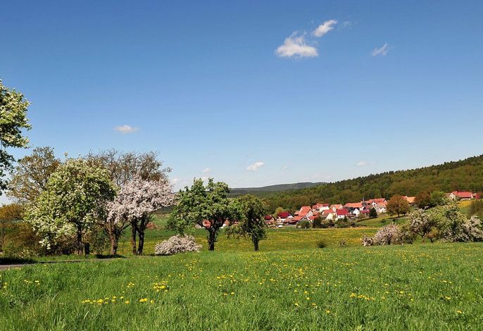 Bild 11