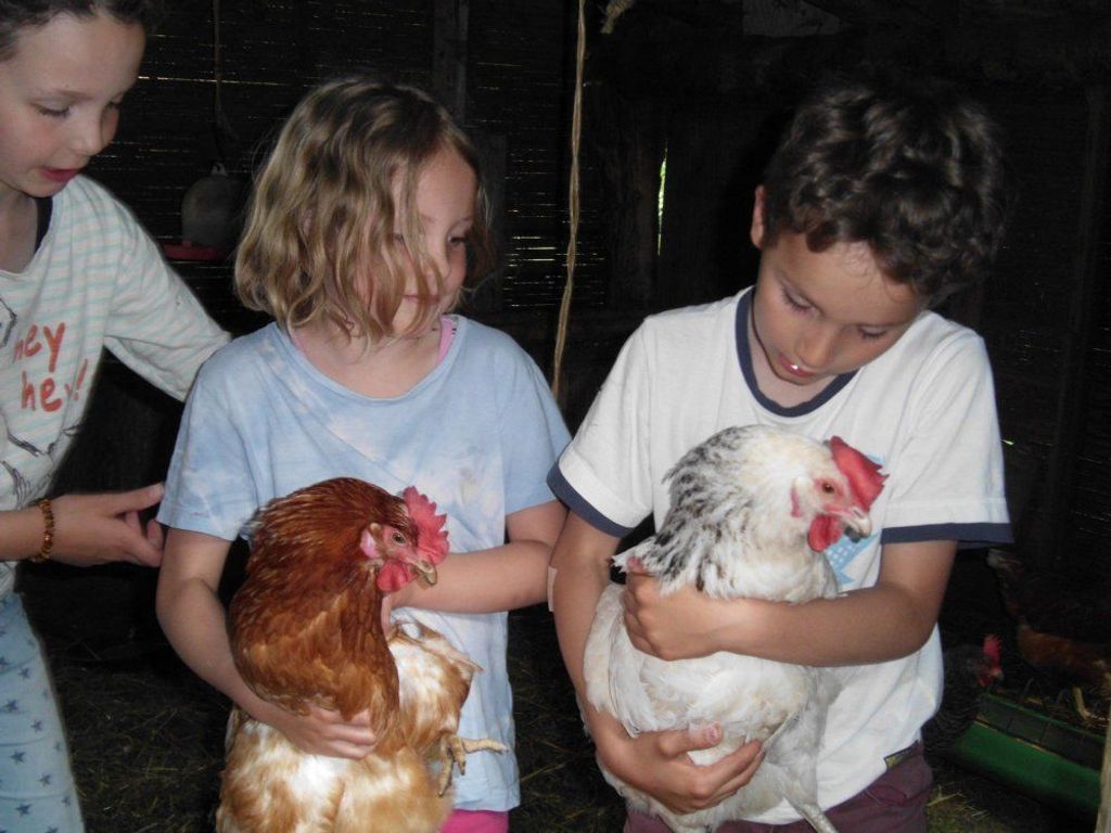 Greiwenhof Kinder & Hühner
