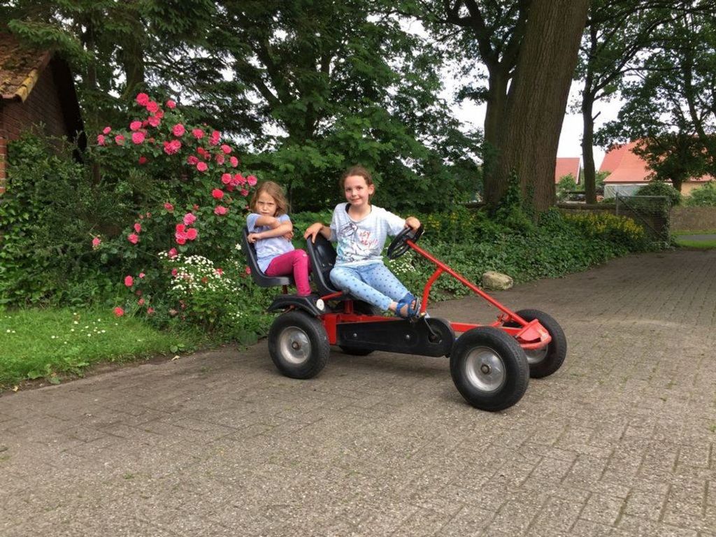 Dinocar fahren