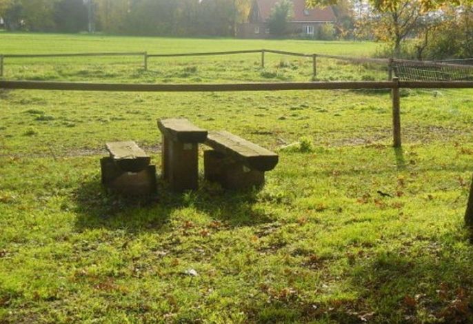 Bild 16