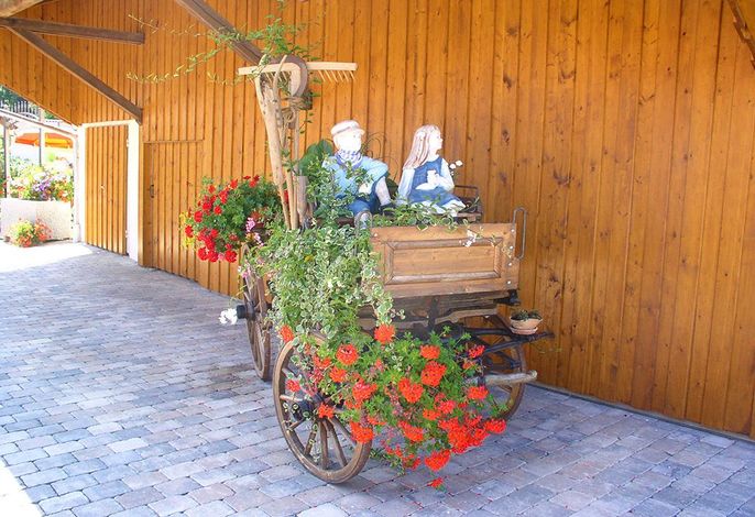 Bild 14