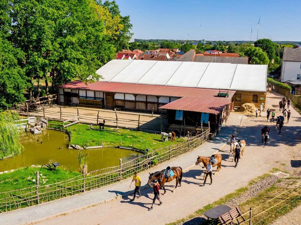 Reiter führen ihre Pferde auf den Reitplatz