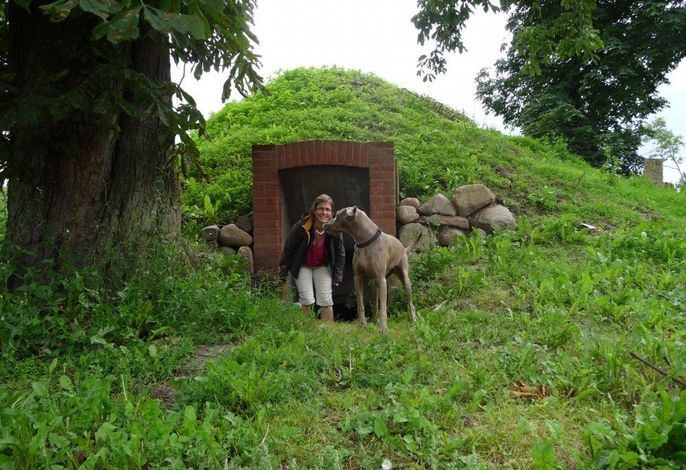 Bild 9