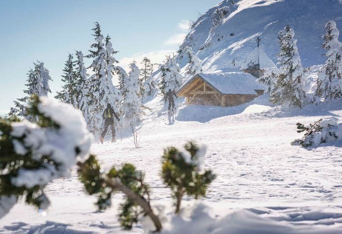 Bild 85