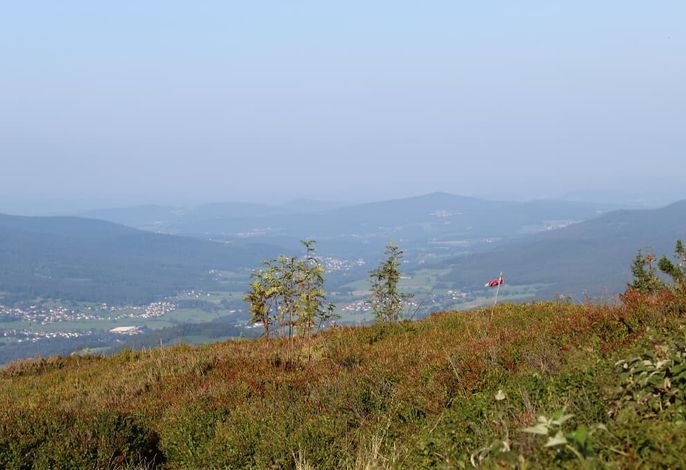 Bild 81