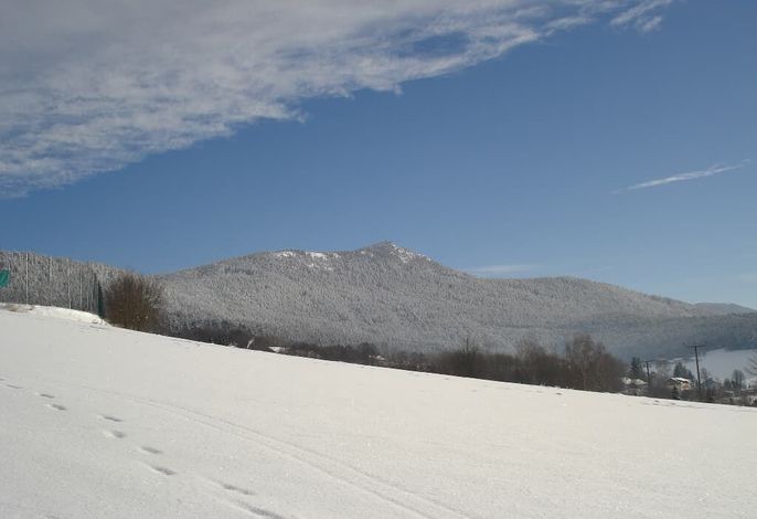 Bild 29