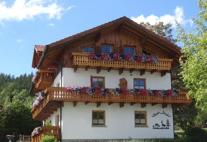 Bild 19