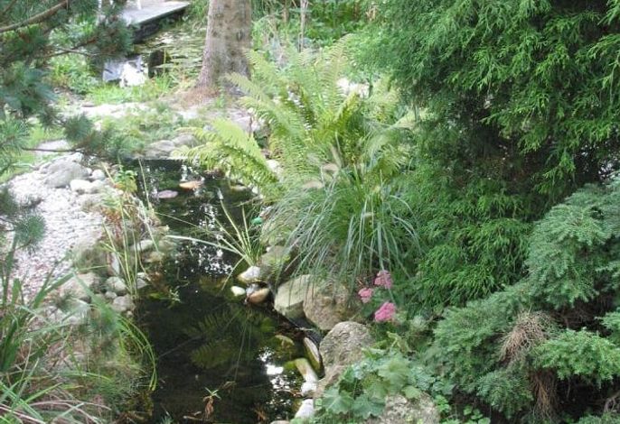 Bild 14