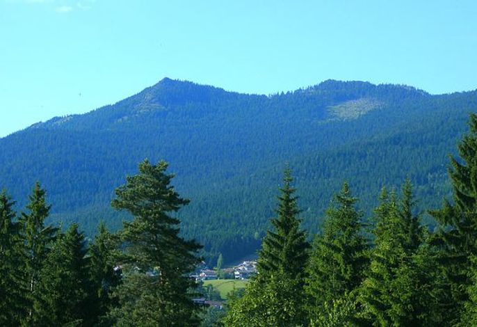 Bild 15