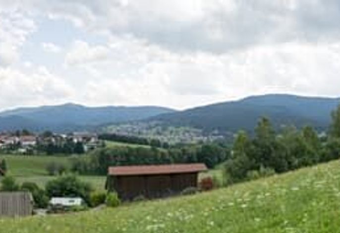 Bild 19