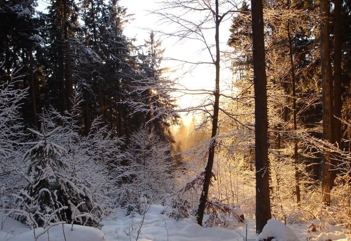 Bild 22