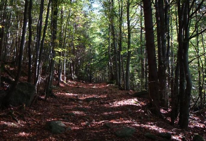 Bild 24