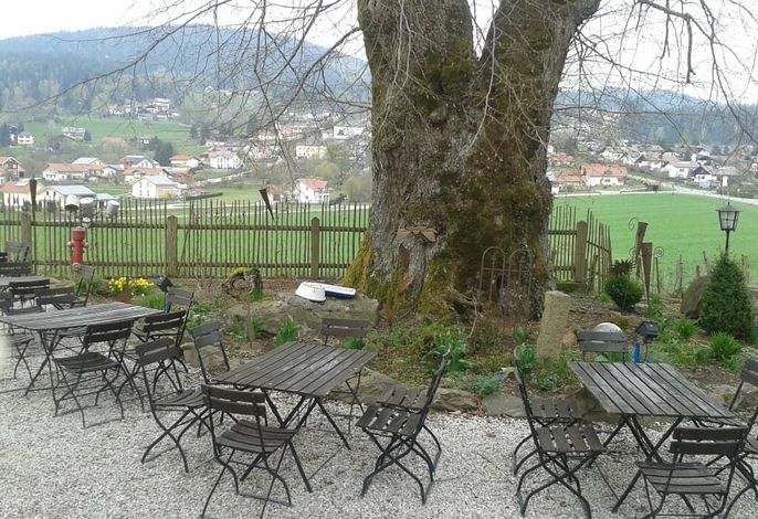 Bild 19