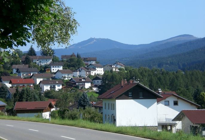 Reindl Peter