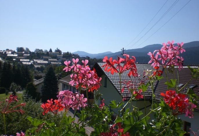 Reindl Peter – Foto 2
