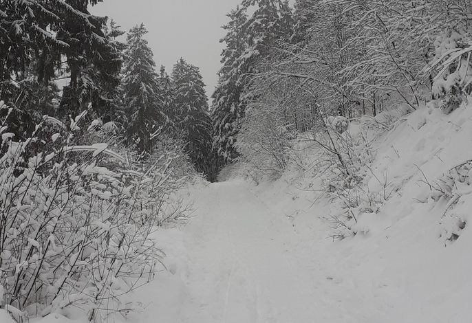 Bild 19