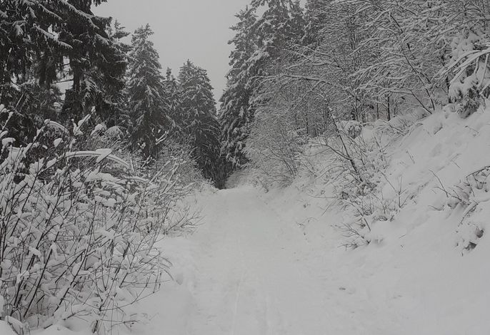 Bild 19