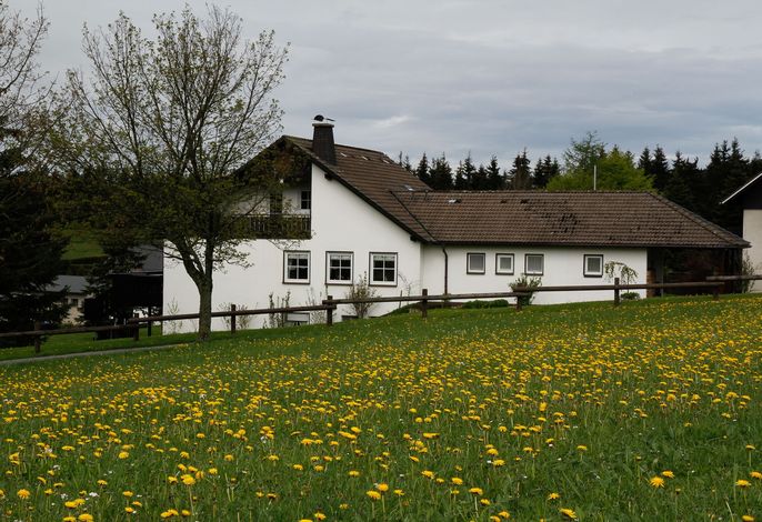 Bild 18