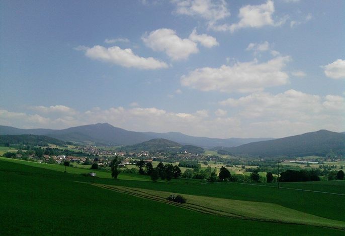 Bild 14